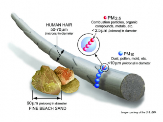 Comparaison of particule diameters versus beach sand or human air