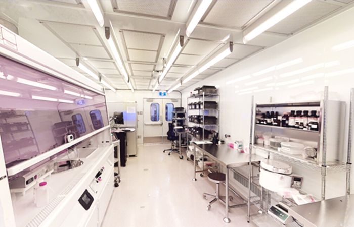 ISO 5 NANOFABRICATION CLEANROOM FACILITY 700 x 450 (1)